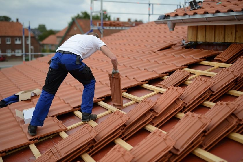 Yumurtalık Çatıcı